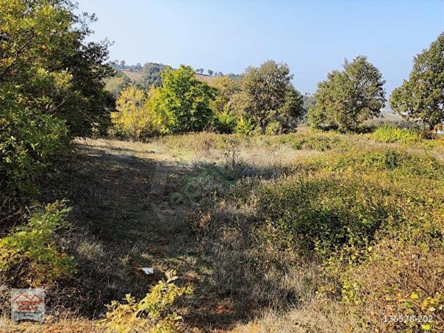 Vezirköprü, Samsun içerisinde satılık Arsa