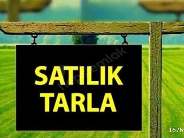 Köklüce, Sivas Merkez içerisinde satılık Arsa