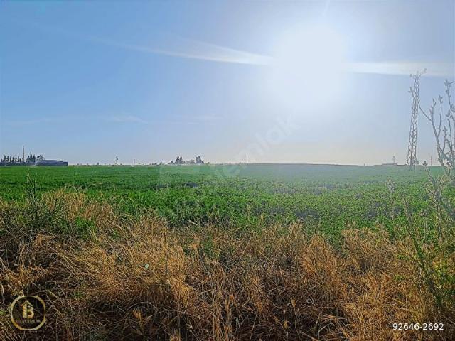 Kiziltepe, Mardin içerisinde satılık Arsa