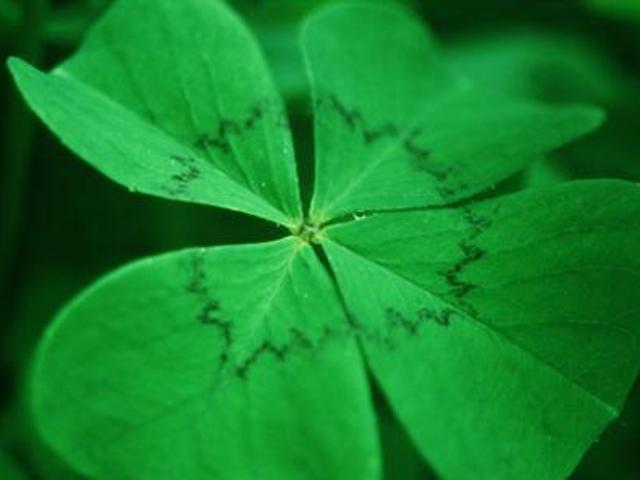 Grundstück kaufen in Klaffer am Hochficht, Oberösterreich