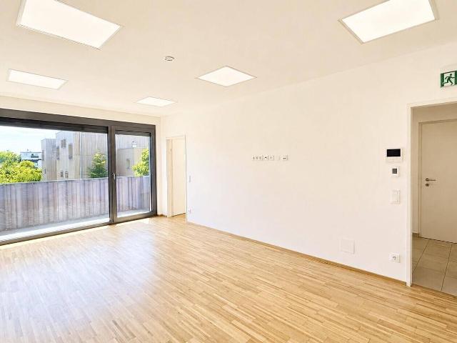 Apartment mieten in Klagenfurt, Kärnten