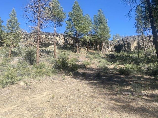 Land for sale in Oregonia