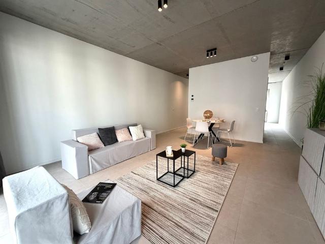 Kot location à Antwerpen