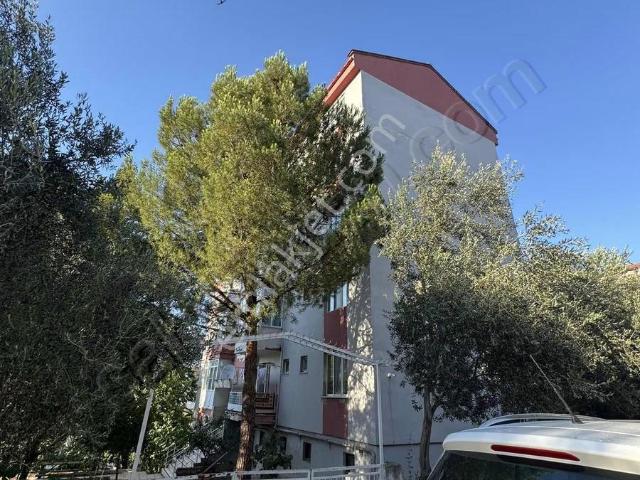 Balıkesir Merkez, Balikesir içerisinde kiralık mülk