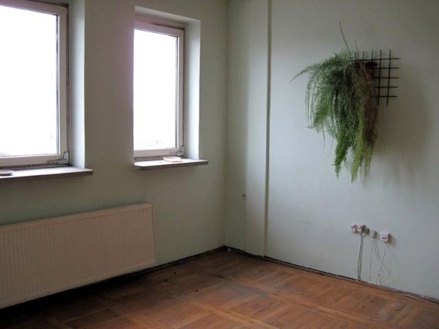 Mieszkanie do wynajęcia w Wrocław, Dolnośląskie