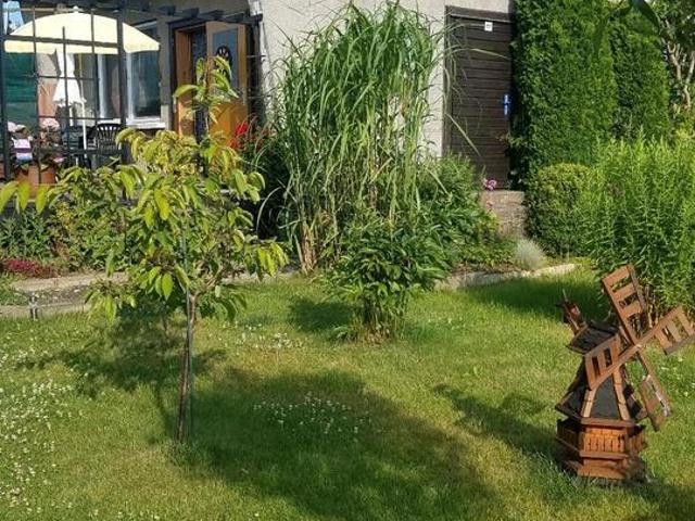 Erdgeschosswohnung mieten in Cotta, Dresden