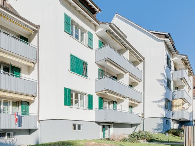 Wohnung mieten in Oberdornach, Dornach