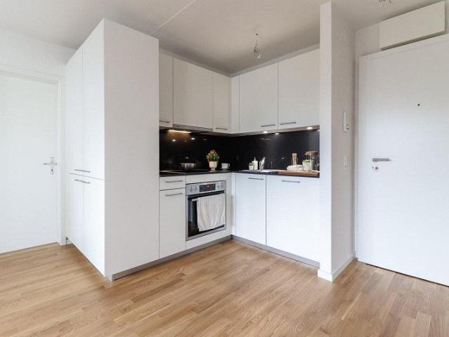 Apartment mieten in Spreitenbach, Aargau