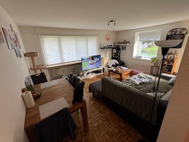 Apartment mieten in Neumatte, Spiez