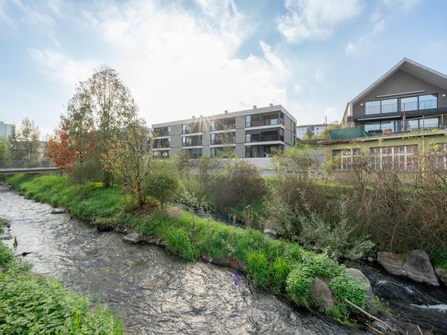 Apartment kaufen in Niederlenz, Aargau
