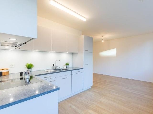 Apartment mieten in Grossbasel, Basel