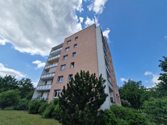 Apartment mieten in Sachsendorf, Cottbus