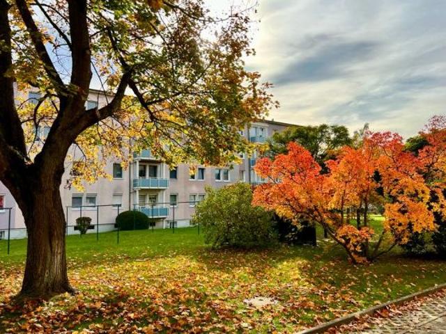 Wohnung mieten in Weißwasser, Sachsen