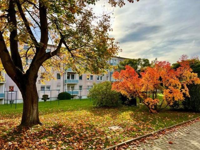 Apartment mieten in Weißwasser, Sachsen