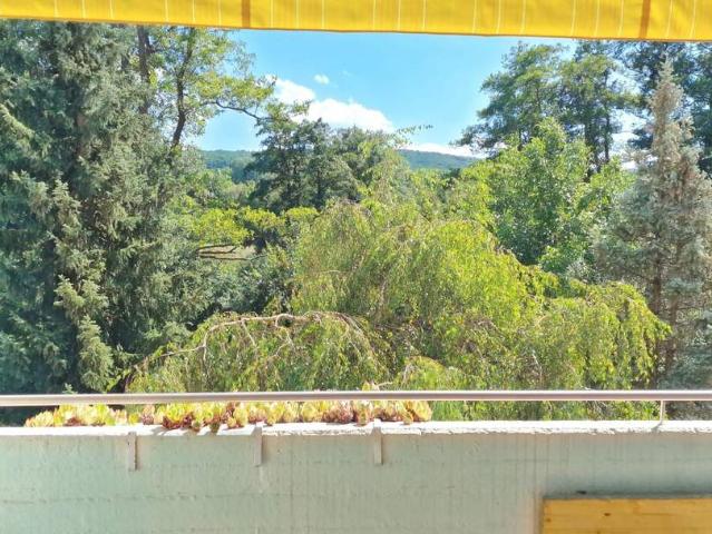 Wohnung kaufen in Mödling, Niederösterreich