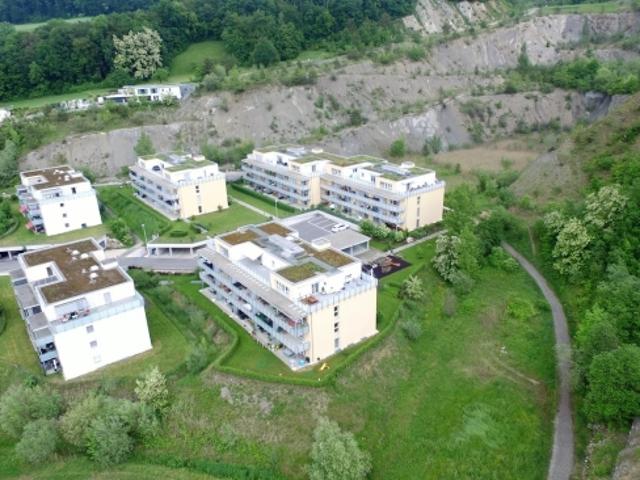 Wohnung mieten in Holderbank (AG)