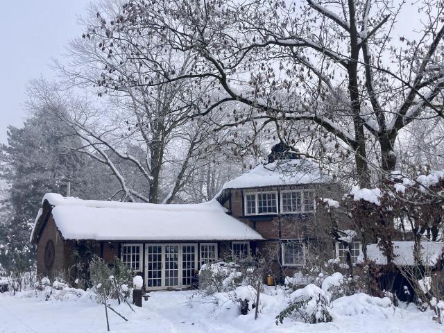 Villa kaufen in Halstenbek, Kreis Pinneberg