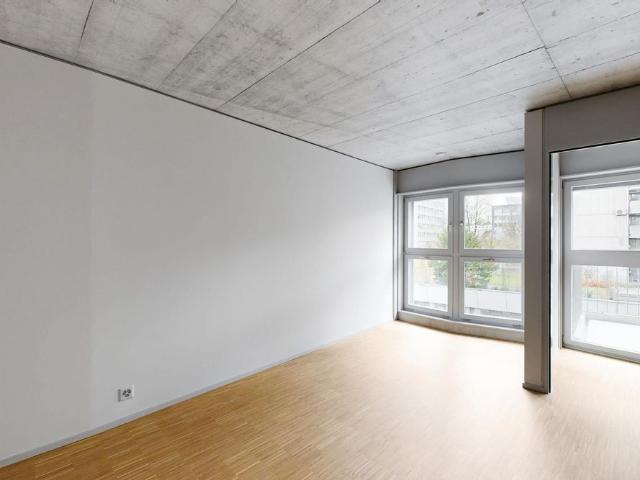 Apartment mieten in Friesenberg, Zürich