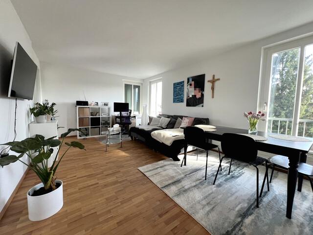 Apartment kaufen in Höchst, Vorarlberg
