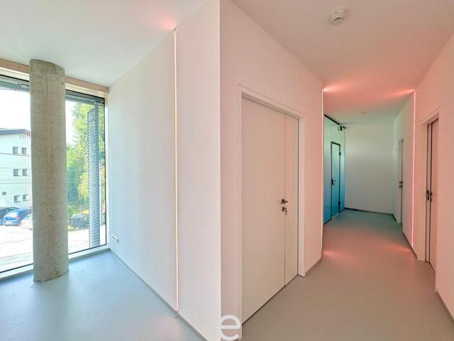 Büro mieten in Elsbethen, Salzburg