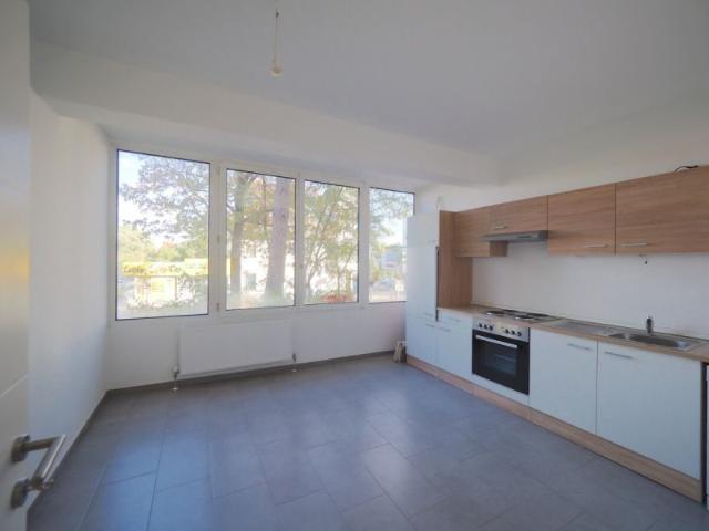 Wohnung mieten in Brunn am Gebirge, Bezirk Mödling