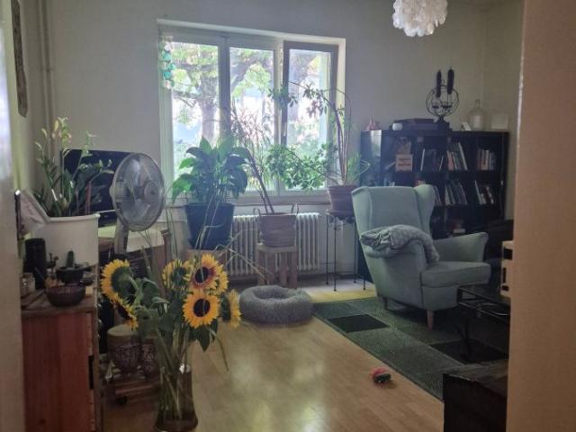 Apartment mieten in Basel, Basel-Stadt
