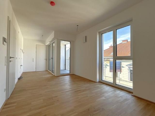 Apartment mieten in Urfahr, Linz