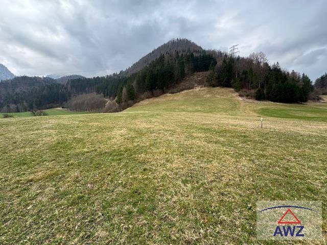 Haus kaufen in Landl, Bezirk Liezen