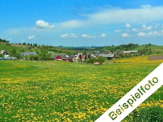 Erdgeschosswohnung kaufen in Neuendorf, Eifelkreis Bitburg-Prüm