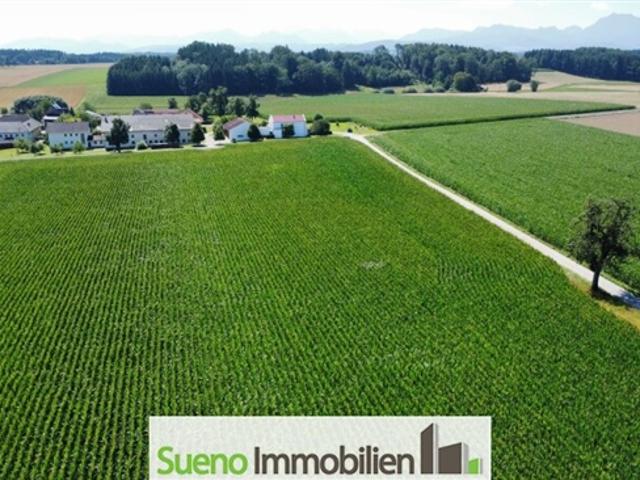 Landwirtschaft kaufen in Bad Wimsbach-Neydharting, Oberösterreich