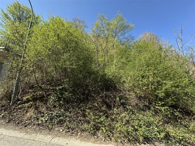 Grundstück kaufen in Wiesen, Burgenland