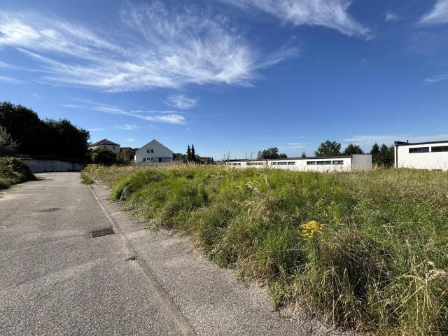 Immobilie kaufen in Am Dachsberg, Schwertberg