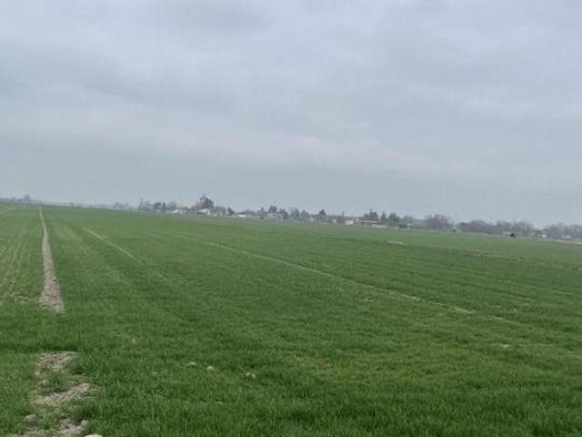 Grundstück kaufen in Gänserndorf, Niederösterreich