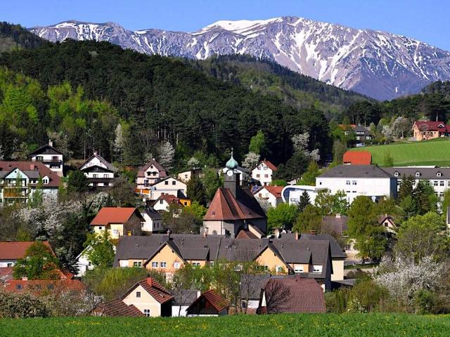 Haus kaufen in Neunkirchen, Niederösterreich