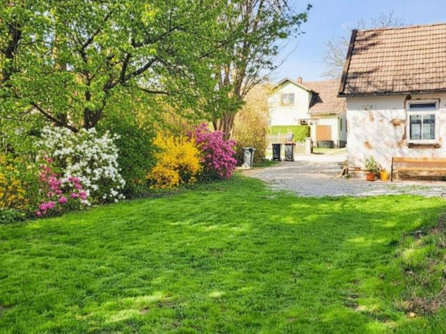 Haus kaufen in Litschau, Niederösterreich