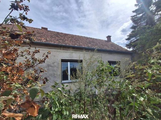 Haus kaufen in Bezirk Eisenstadt-Umgebung, Burgenland