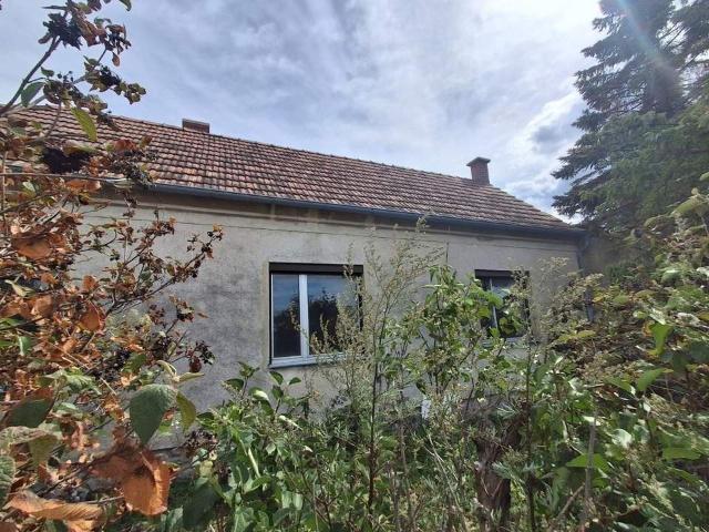 Haus kaufen in Burgenland