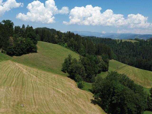 Landwirtschaft kaufen in Voitsberg, Steiermark