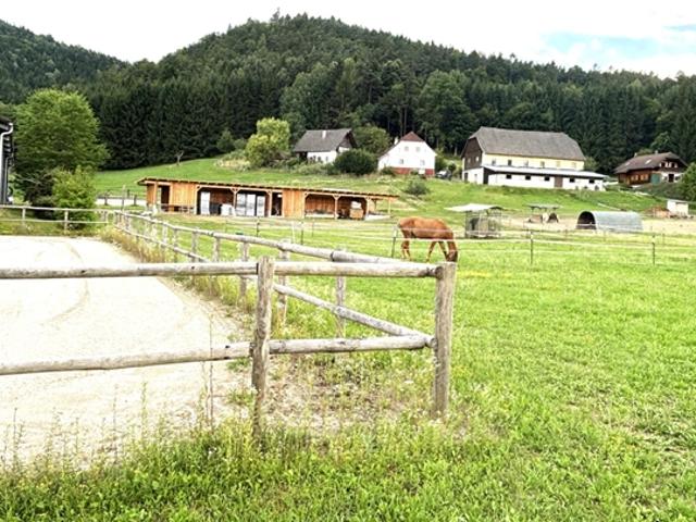 Bauernhaus kaufen in Neuhaus, Kärnten