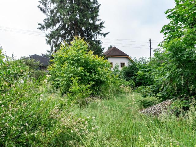 Grundstück kaufen in Linz, Oberösterreich