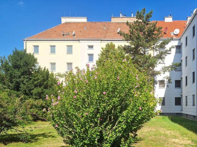 Apartment kaufen in Schwechat, Groß-Schwechat