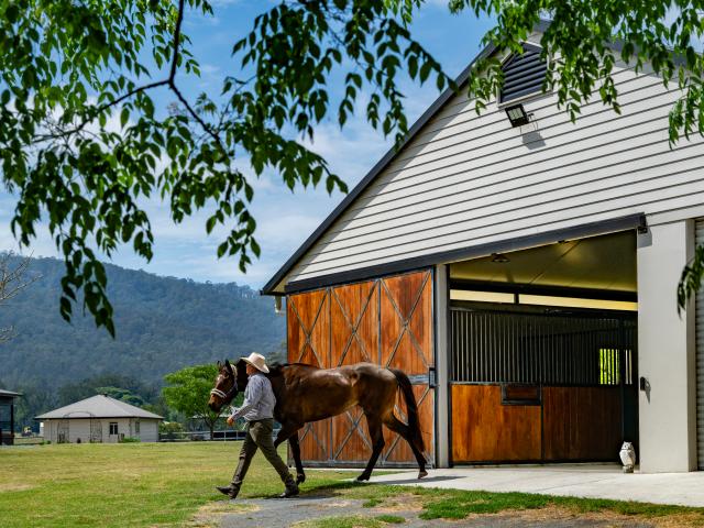 Property for sale in Canungra, Queensland