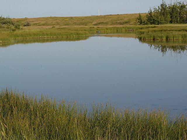 Land for sale in Woking, Alberta