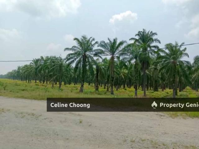 Property for sale in Tanjong Sepat, Selangor