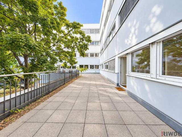 Gewerbe mieten in Siedlung Schmelz, Wien