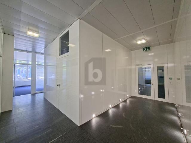 Büro mieten in Hünenberg, Zug