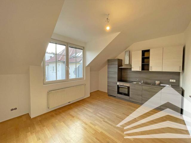 Apartment mieten in Urfahr, Linz