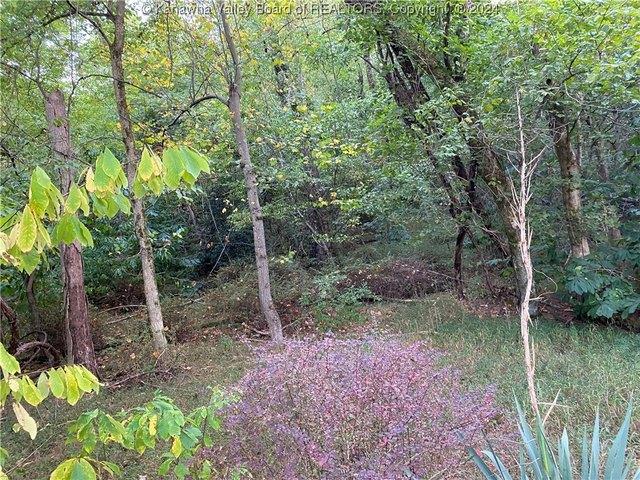 Land for sale in Cottageville, West Virginia