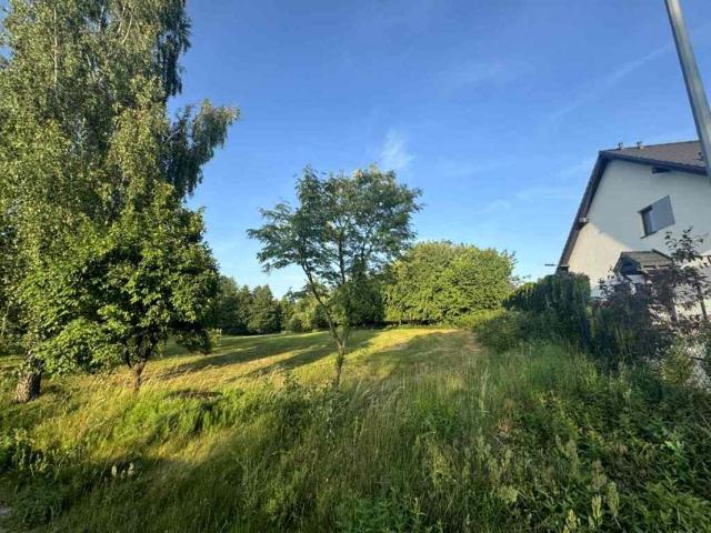 Grunt na sprzedaż w Borówiec, Wielkopolskie