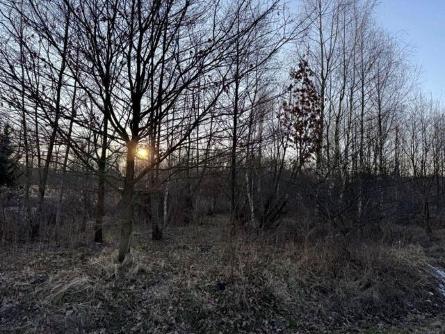 Grunt na sprzedaż w Rudziniec, Śląskie